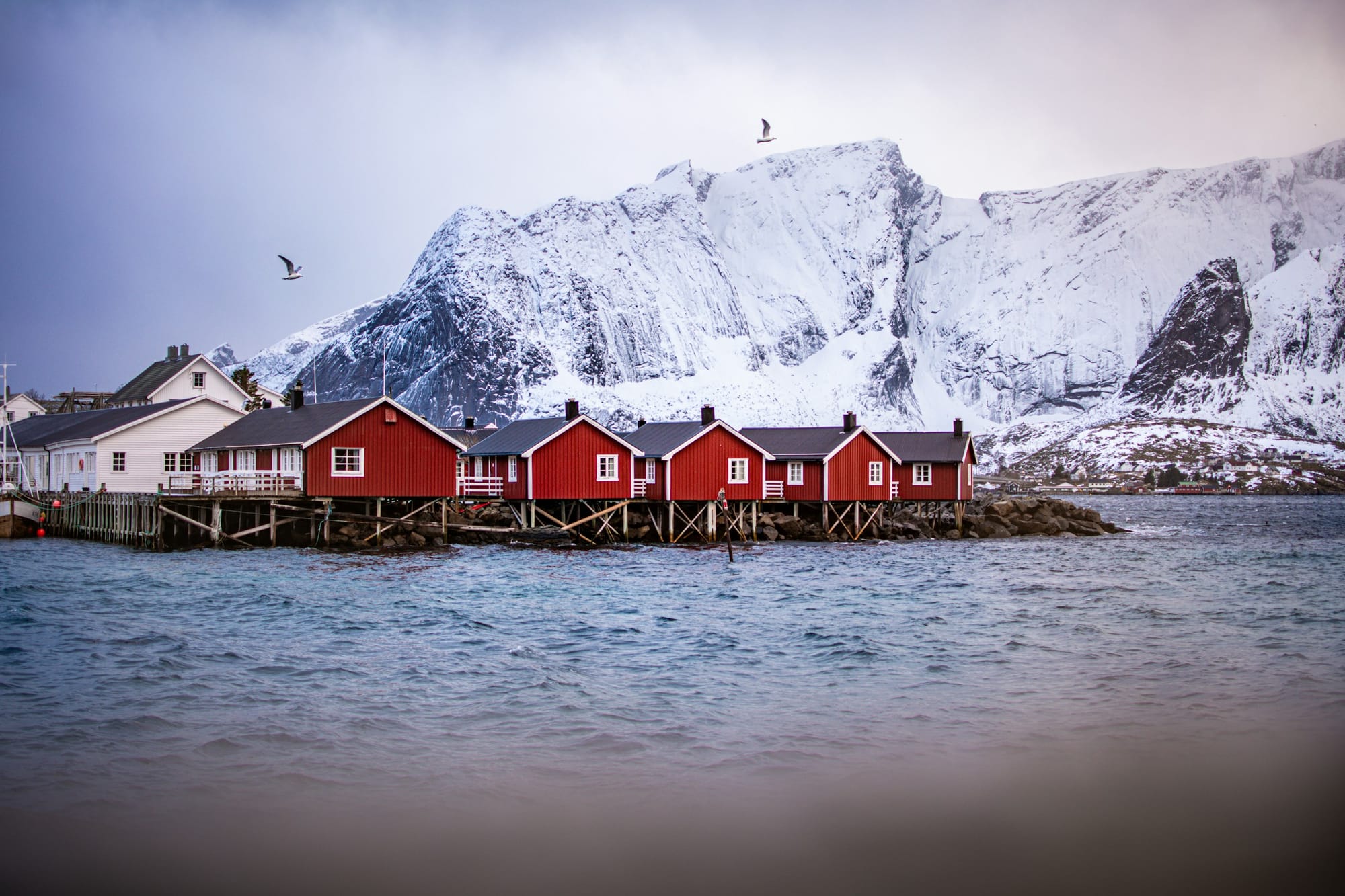 A group of red buildings on the waterfront in Norway with icy/snowy mountains behind them