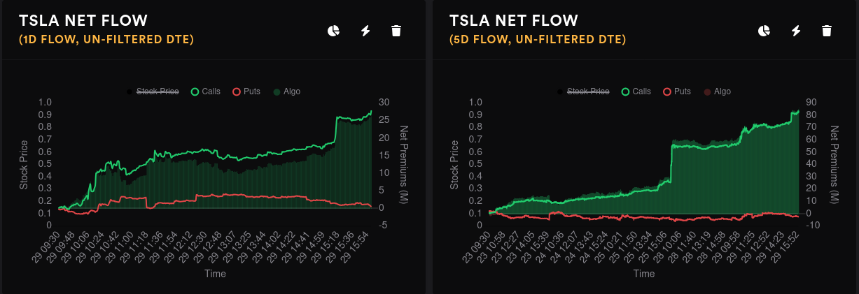 TSLA options flow