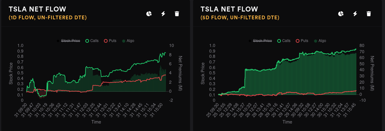 TSLA options flow