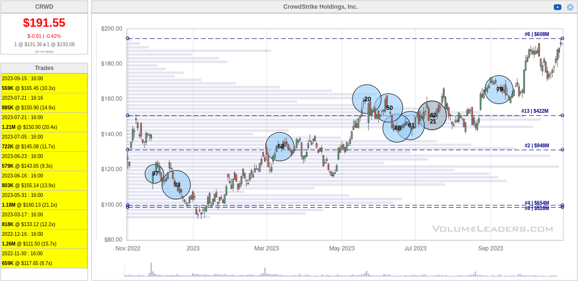 CRWD chart for the past year from Volume Leaders