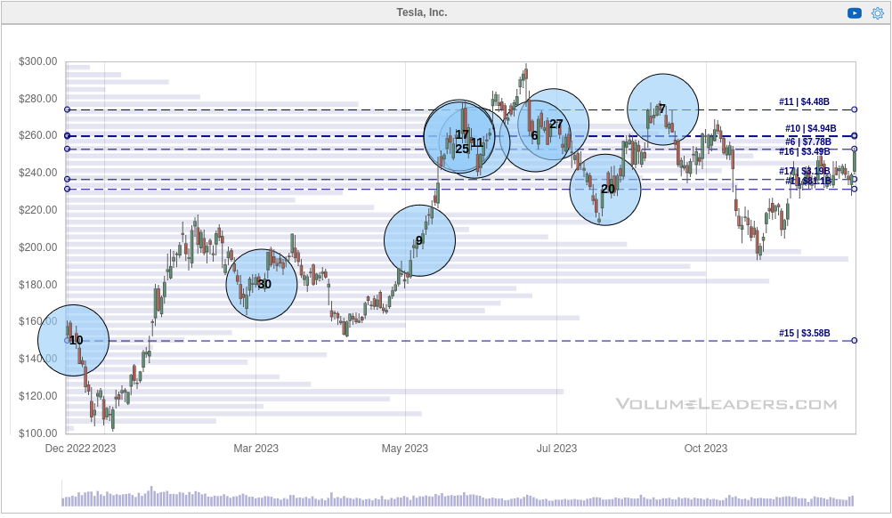 TSLA 1Y chart from Volume Leaders