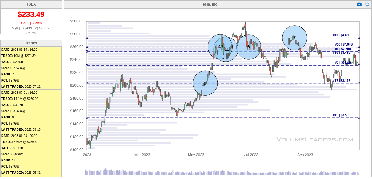 TSLA chart from Volume Leaders