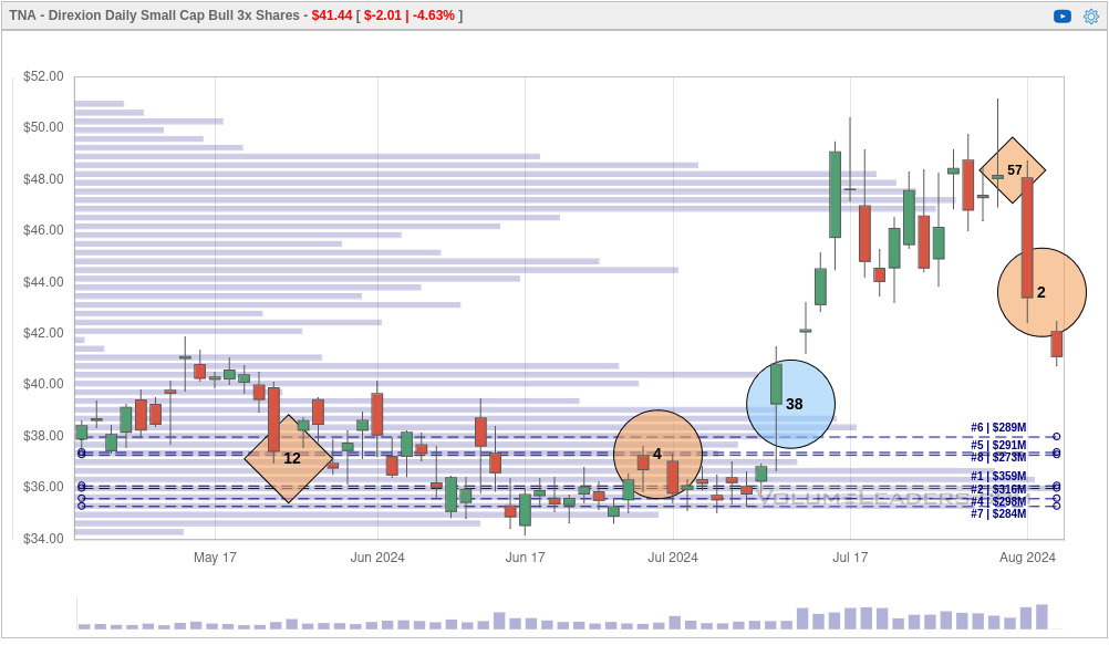 Volume Leaders chart for TNA