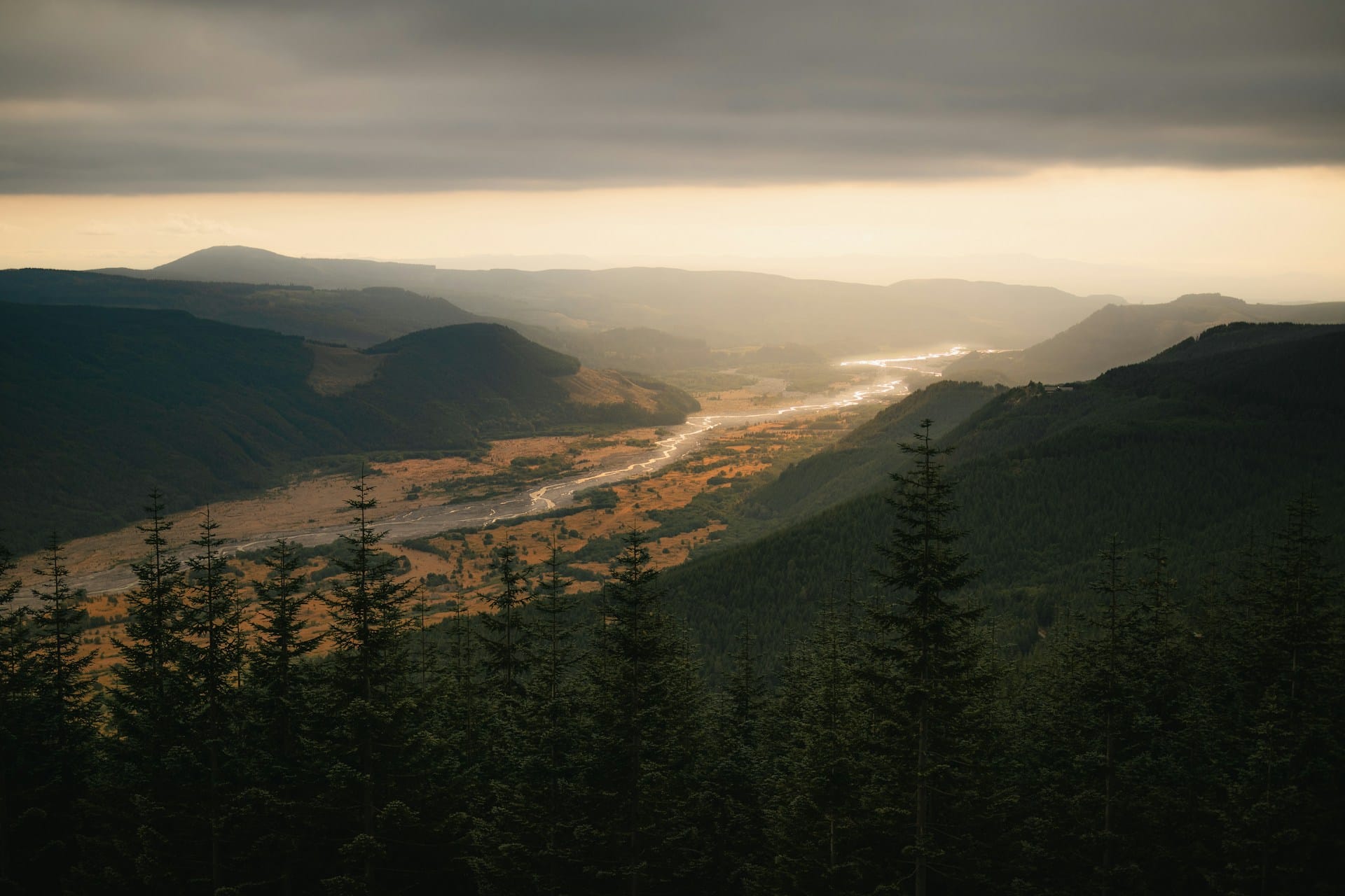 River flowing between mountains covered in trees