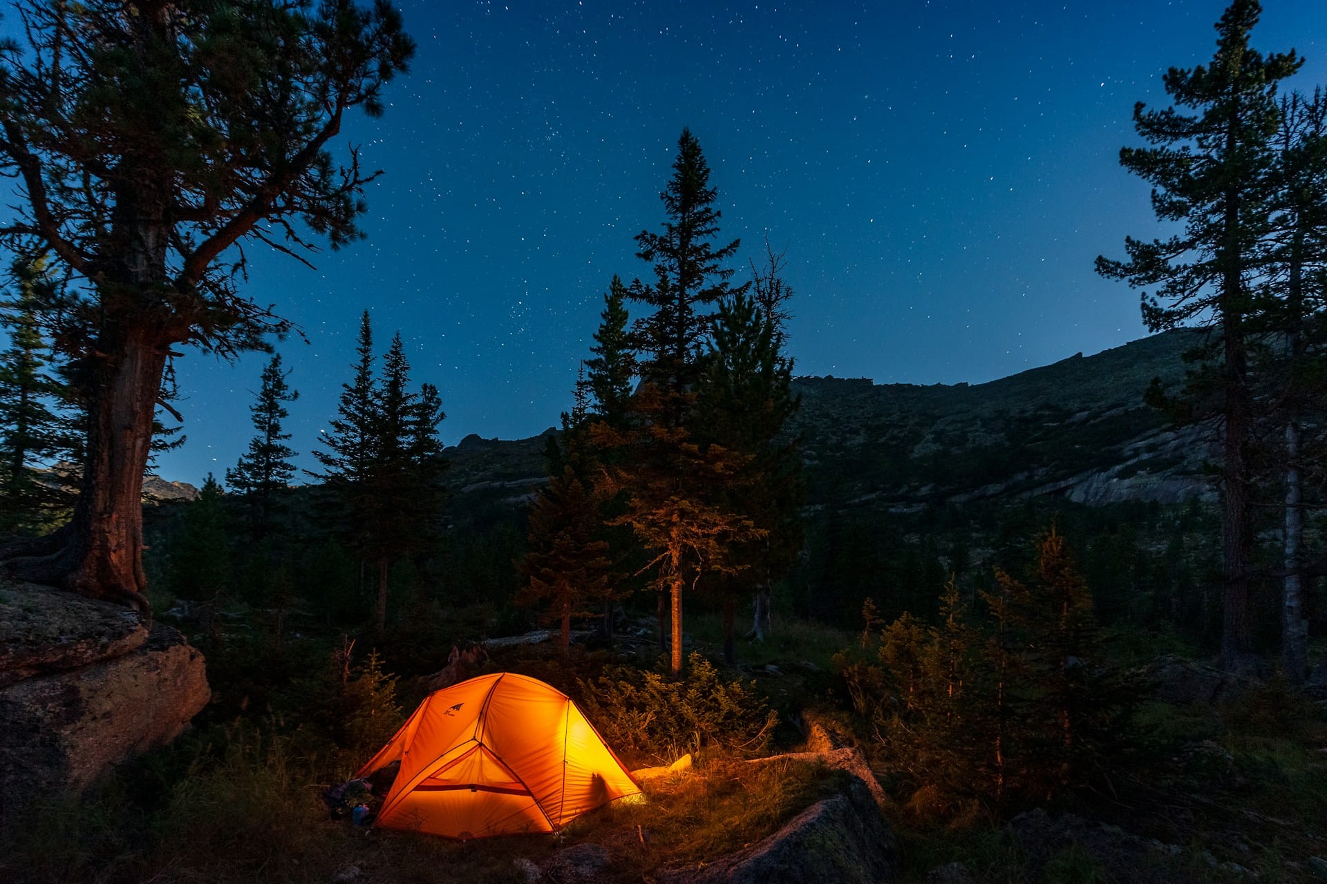 A lighted camping tent in a forest beneath a starry night sky