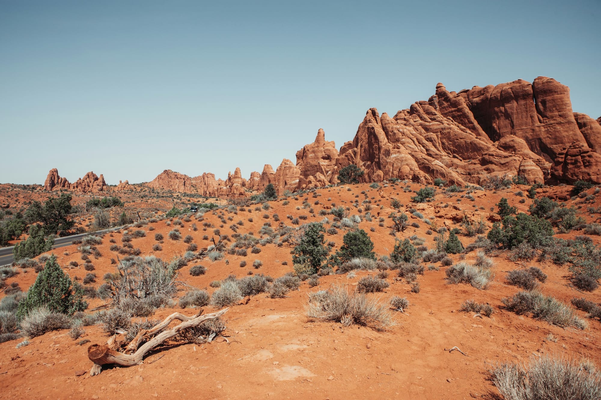 Desert landscape with mountains in the background