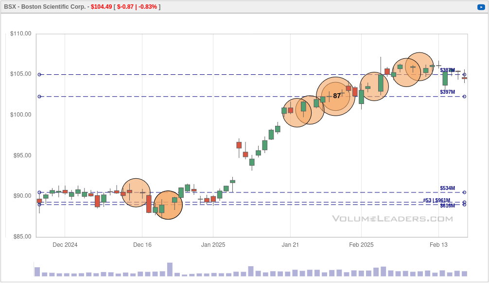 BSX chart from Volume Leaders